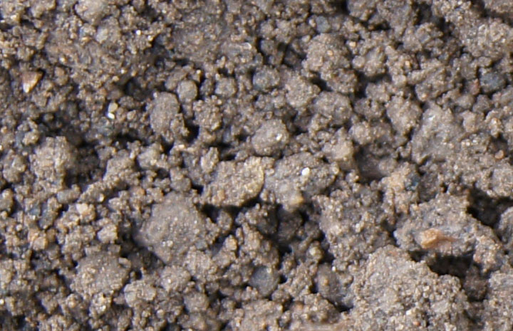 Top Soil